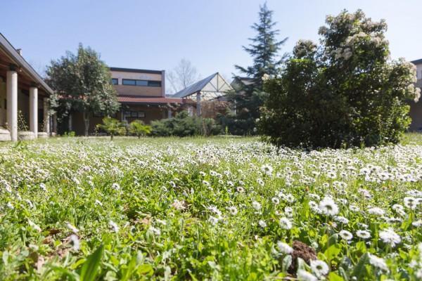 La Cordata Accommodation - Brodolini 24 チニゼッロ・バルサモ エクステリア 写真